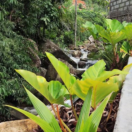 Riverside Mount Simpson Upper Beau Vallon  Extérieur photo