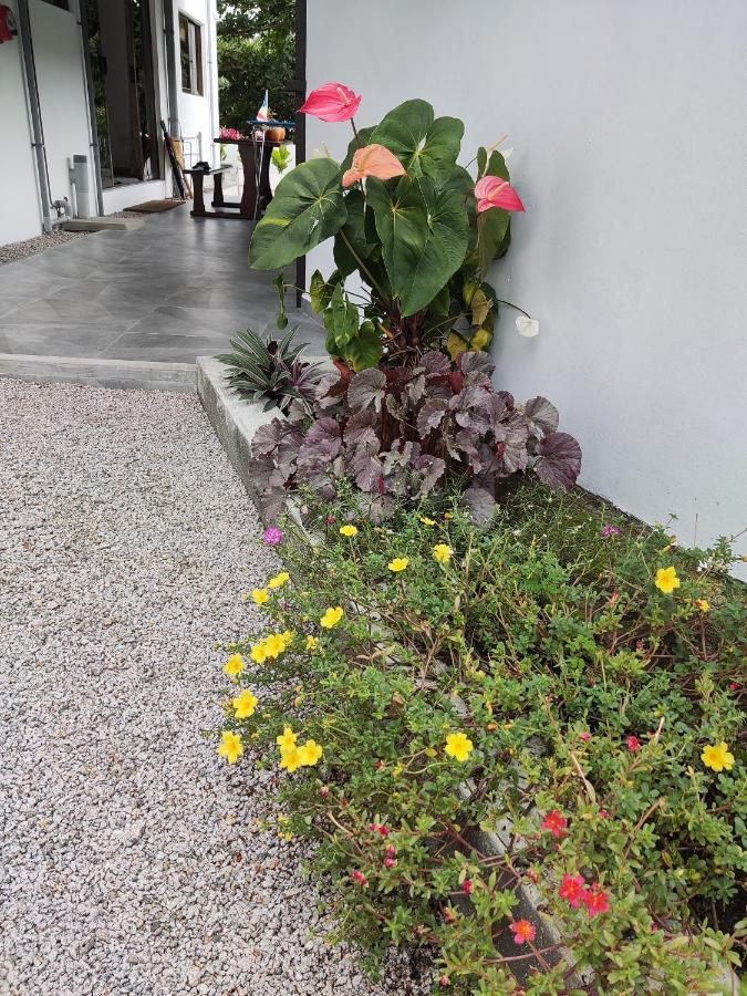 Riverside Mount Simpson Upper Beau Vallon  Extérieur photo