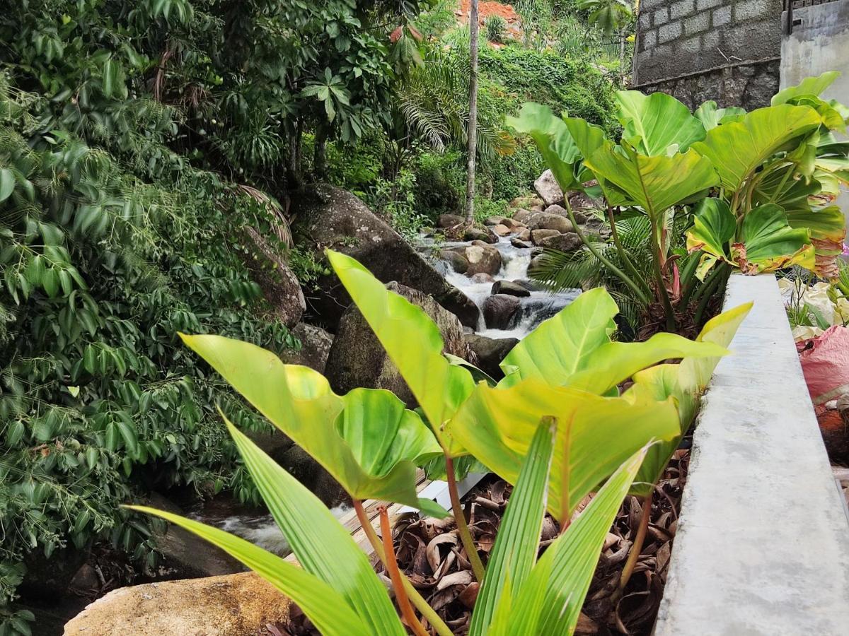 Riverside Mount Simpson Upper Beau Vallon  Extérieur photo