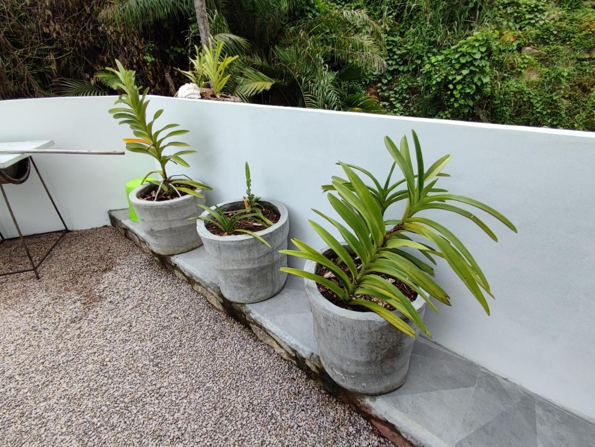 Riverside Mount Simpson Upper Beau Vallon  Extérieur photo