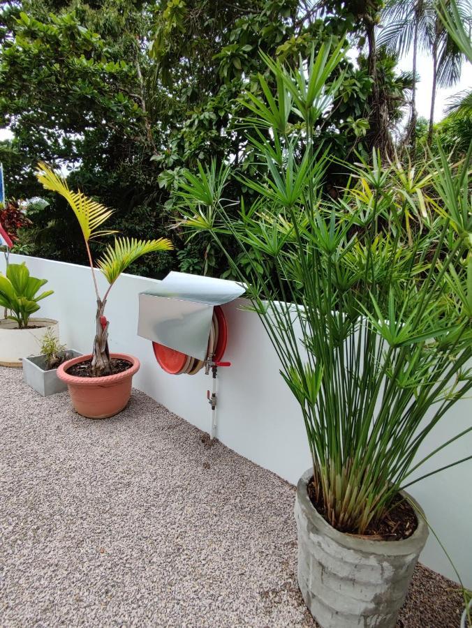Riverside Mount Simpson Upper Beau Vallon  Extérieur photo